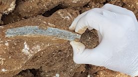 אסבסט בראש העין, צילום: אירה אלימלך, המשרד להגנת הסביבה